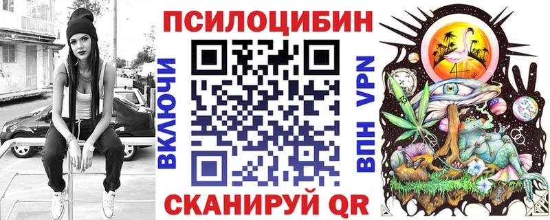 Галлюциногенные грибы Psilocybe Называевск